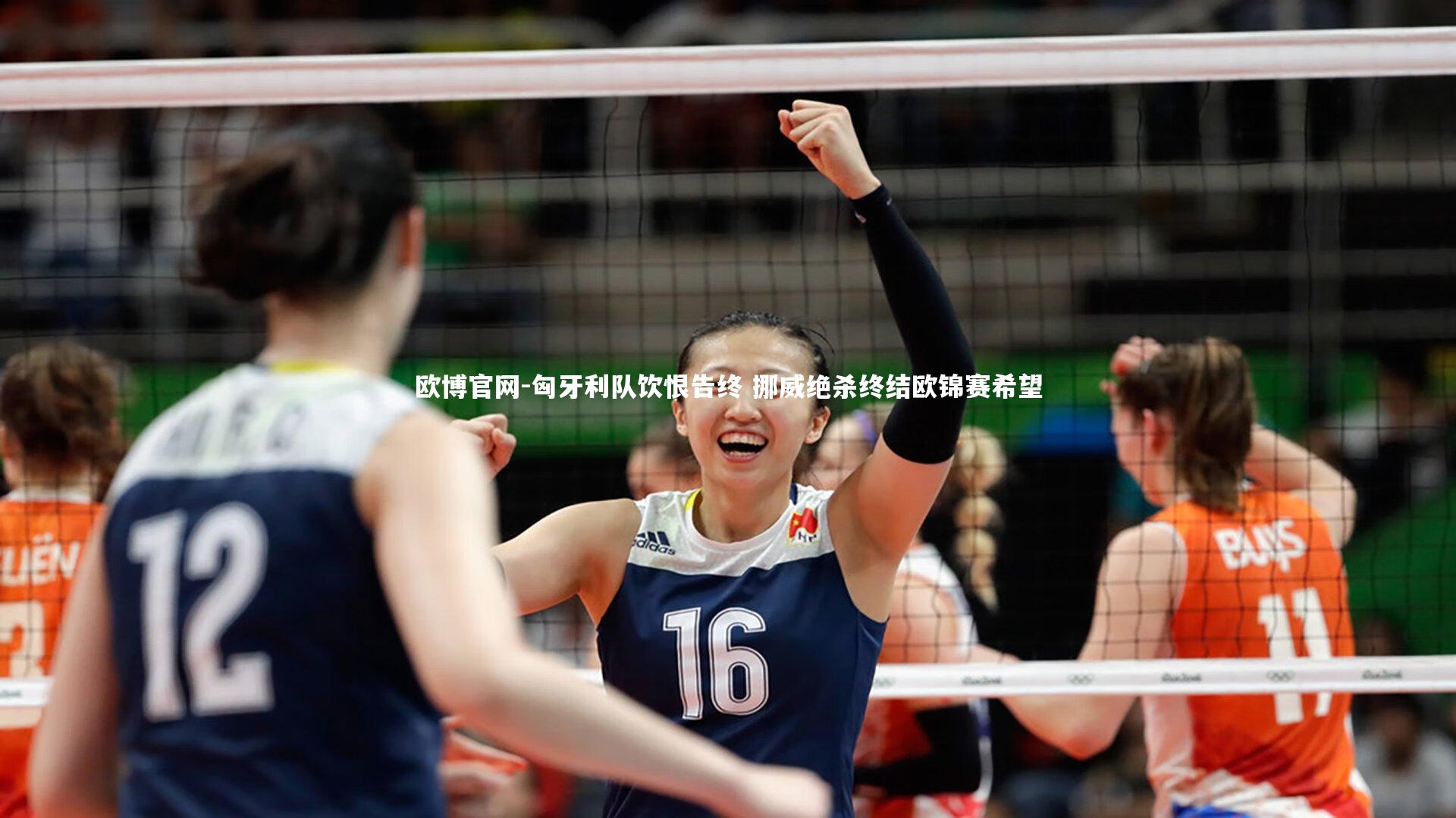 匈牙利队饮恨告终 挪威绝杀终结欧锦赛希望